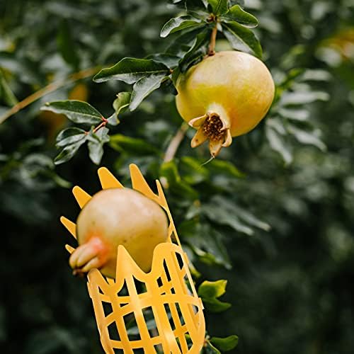 Narancs Picker 2db Gyümölcs Picker Catcher Gyümölcs Szedés Eszköz Mezőgazdasági Kertészeti Eszköz Üvegházhatású
