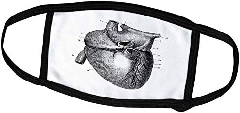 3dRose Anatómiai Ábra az Emberi Szív, Fekete-Fehér Arcát Takaró (fc_297276_1)