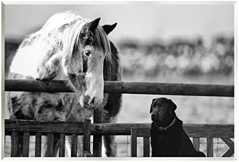 Stupell Iparágak Kutya & Horse Farm Állat Barátok Fekete-Fehér Fotózás Fa Wall Art, Design By James Dobson