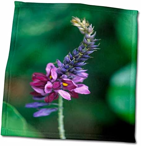 3dRose Virágos, Virágzó Kudzu Lila Növény - Törölköző (twl-284511-3)
