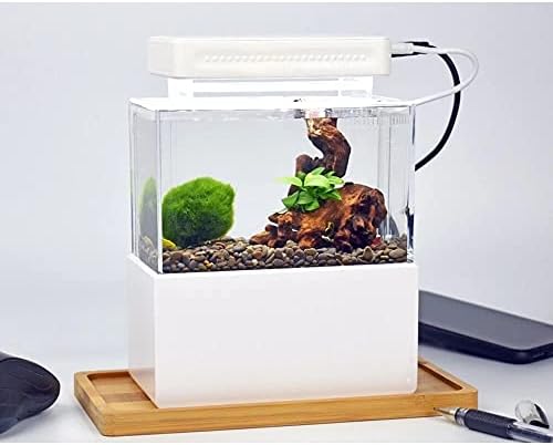 ZLBYB Mini akvárium, Asztali Tengeri Akvapóniás Akvárium Halak Tál Vízzel Fliter LED USB Pumpa Hordozható